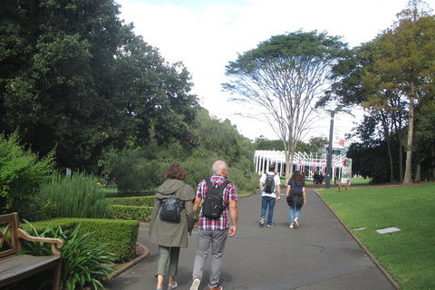 Private City Walking Tour From Your Hotel - Accommodation Ballina 3