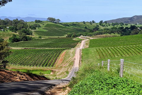 The Complete Hunter Valley Wine Tour Of Pokolbin, Mt View, Lovedale And Rothbury - Accommodation Ballina 0
