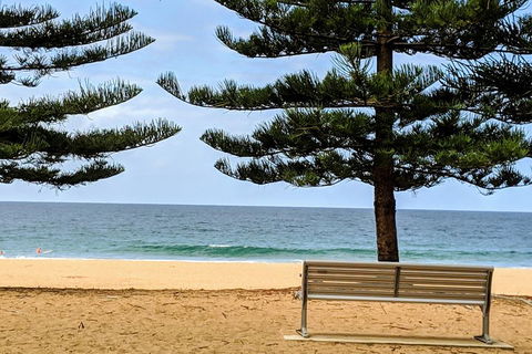 Manly & Sydney's Northern Beaches With 'Personalised Sydney Tours' - Accommodation Ballina 0
