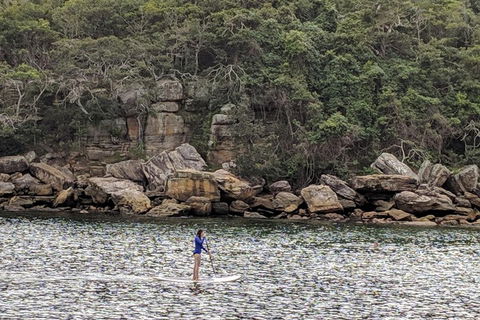 Manly & Sydney's Northern Beaches With 'Personalised Sydney Tours' - Accommodation Ballina 3