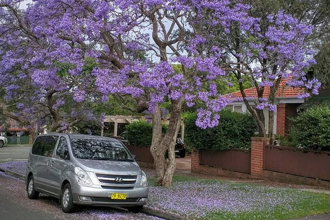 Sydney Secrets & Bondi Beach Private 4 Hr Morning With Personalised Sydney Tours - Accommodation Ballina 0