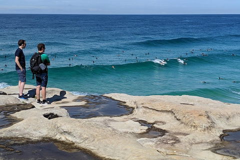 Sydney Secrets & Bondi Beach Private 4 Hr Morning With Personalised Sydney Tours - Accommodation Ballina 2