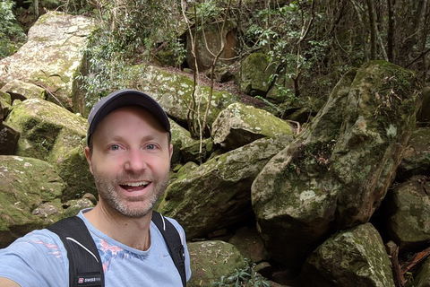 Australian Wildlife & Waterfalls Private Tour With 'Personalised Sydney Tours' - Accommodation Ballina 4