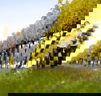 2-Day Private Daylesford  Macedon Ranges Gourmet Food Trail Tour from Melbourne - Accommodation Ballina