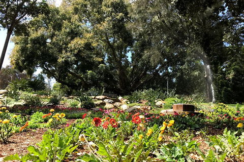 Discover Sydney - Botanic - Accommodation Ballina 3