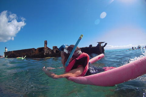 All Inclusive Dolphin And Tangalooma Wrecks Cruise - Accommodation Ballina 2