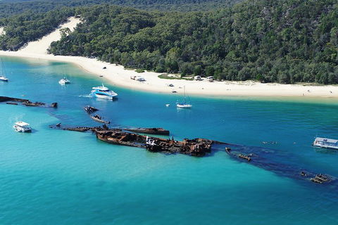 All Inclusive Dolphin And Tangalooma Wrecks Cruise - Accommodation Ballina 4