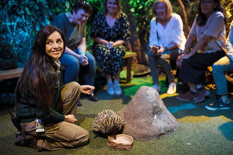 Sydney Taronga Zoo's Australian Animals Tour - Accommodation Ballina 0
