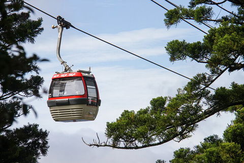 Sydney Taronga Zoo General Entry Ticket And Wild Australia Experience - Accommodation Ballina 2