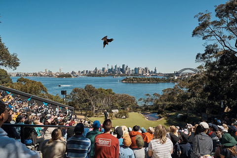 Sydney Taronga Zoo General Entry Ticket And Wild Australia Experience - Accommodation Ballina 5