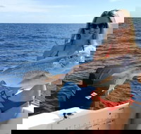 1/2 Day 5 Hour Offshore Fishing Charter - Accommodation Ballina