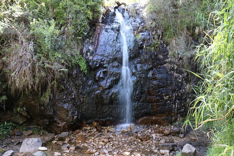 Mount Lofty Hike And Cleland Wildlife Park Day Trip From Adelaide - Accommodation Ballina 4