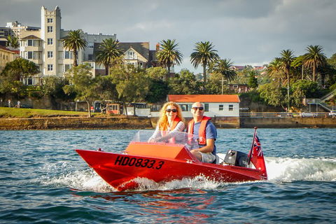 Sydney Speed Boat Adventure Harbour Tour - Accommodation Ballina 4