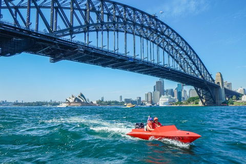 Sydney Speed Boat Adventure Harbour Tour - Accommodation Ballina 5