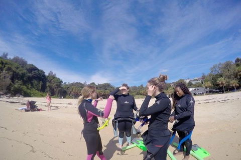 Manly And Shelly Beach Snorkeling Tour - Accommodation Ballina 5