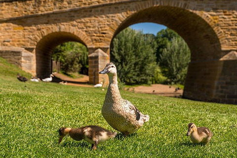 Richmond Historic Afternoon Tour From Hobart - Accommodation Ballina 1