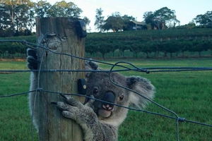 The Secret Vines Experience Port Macquarie