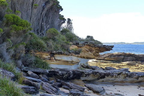 Day Trip To Cronulla & The Royal National Park - Accommodation Ballina 4