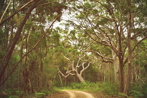 Day Trip To Cronulla & The Royal National Park - Accommodation Ballina 5