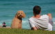 See Sydney With A Local: Private & Personalized - thumb 5