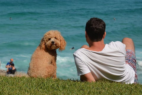 See Sydney With A Local: Private & Personalized - Accommodation Ballina 5