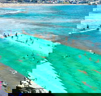 Sydney City Harbour  Bondi Private Tour with Airport pick up or drop off - Accommodation Ballina