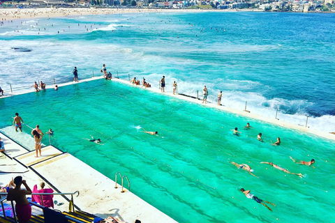 Sydney City, Harbour & Bondi Private Tour, With Airport Pick Up Or Drop Off - Accommodation Ballina 0