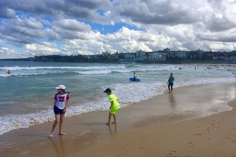 Sydney City, Harbour & Bondi Private Tour, With Airport Pick Up Or Drop Off - Accommodation Ballina 2