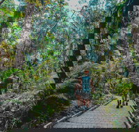 Full Day Cooktown Private Tour - Accommodation Ballina