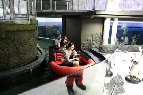 Sydney Attractions Pass: SEA LIFE Aquarium, Sydney Tower Eye, WILD LIFE Zoo And Madame Tussauds - Accommodation Ballina 0