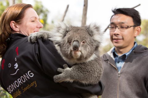 Bonorong Wildlife Park And Richmond Afternoon Tour From Hobart - Accommodation Ballina 0
