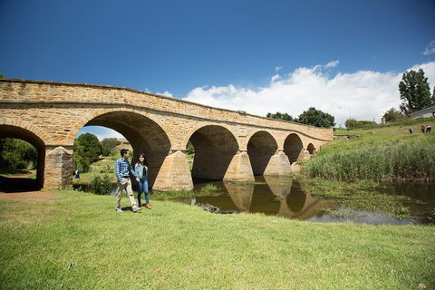 Bonorong Wildlife Park And Richmond Afternoon Tour From Hobart - Accommodation Ballina 2