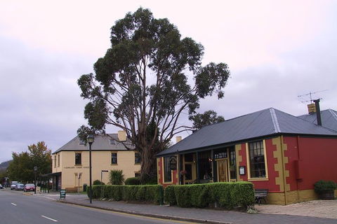 Bonorong Wildlife Park And Richmond Afternoon Tour From Hobart - Accommodation Ballina 3