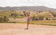 Luxury Hunter Valley Wildlife, Wine & Vodka Tasting Tour From Sydney - thumb 5