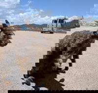 Magnetic Island Tour Maggie Comprehensive - Accommodation Ballina