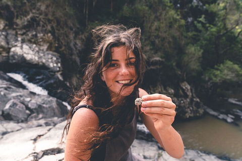 Springbrook AndTamborine Rainforest Tour Incl Natural Bridge And Glow Worm Cave - Accommodation Ballina 1