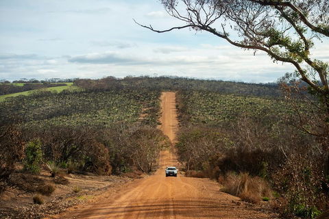 NEW TOUR - Kangaroo Island Road To Recovery Tour (1 Day/1 Night) - Accommodation Ballina 2