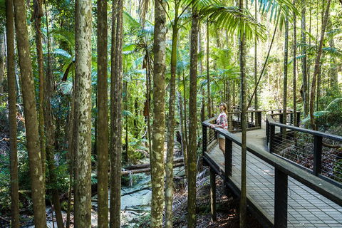 All-Inclusive Fraser Island Day Tour - Accommodation Ballina 5