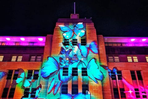 Vivid 90-Minute Sydney Harbour Small Group Catamaran Cruise - Accommodation Ballina 0