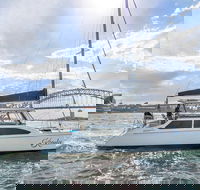 Vivid 90-Minute Sydney Harbour Catamaran Cruise with BYO Drinks - Accommodation Ballina