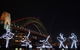 Vivid 90-Minute Sydney Harbour Intimate Catamaran Cruise With Canapes - thumb 3