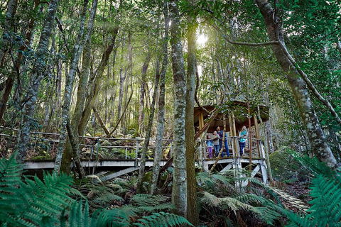 Private Blue Mountains Tour - Accommodation Ballina 4