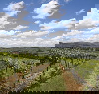 Hunter Valley Wine Tour from Sydney incl Lunch Cheese Chocolate and Distillery - Accommodation Ballina