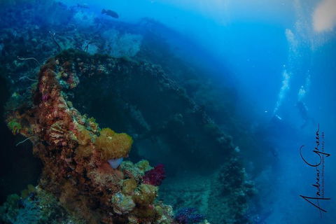 Scuba Dive The S.S. Yongala Wreck On The Great Barrier Reef. - Accommodation Ballina 3