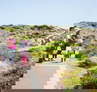 Margaret River Coastal and Wildlife Eco Trip from Busselton or Dunsborough - Accommodation Ballina