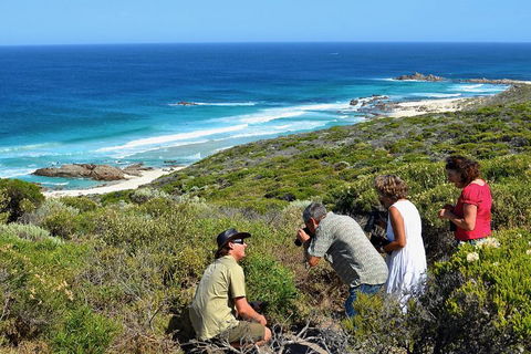 Margaret River Coastal And Wildlife Eco Trip From Busselton Or Dunsborough - Accommodation Ballina 2
