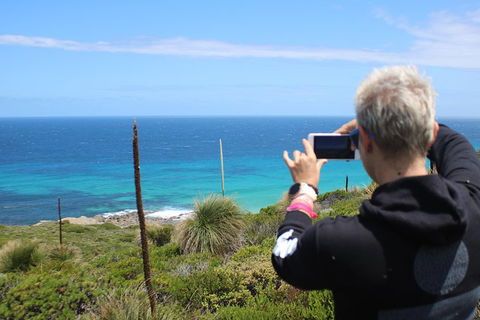 Margaret River Coastal And Wildlife Eco Trip From Busselton Or Dunsborough - Accommodation Ballina 3